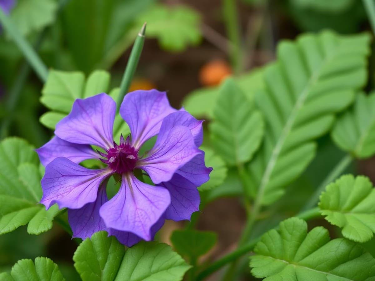Ne laissez plus les chardons envahir votre jardin : voici les gestes à adopter pour les éliminer (100% naturel)