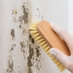 Voici 5 méthodes simples et efficaces pour éliminer définitivement la moisissure de vos murs