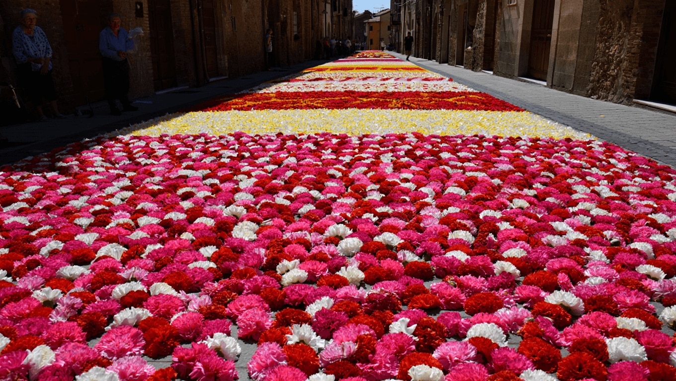 Infiorata a Pievepelago, torna la magia: colori, profumi e tappeti di fiori con oltre 25mila garofani