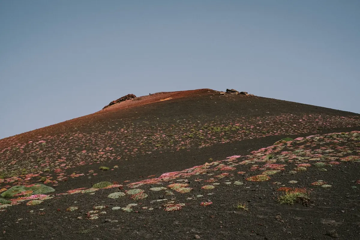 Vasta pianura vulcanica formata da depositi fluviali e colate di lava dell'Etna.
