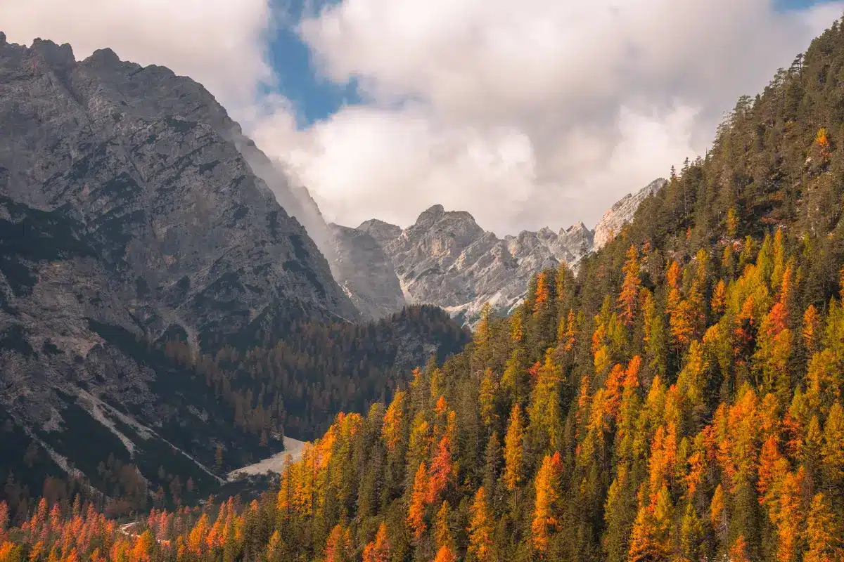 Escursionista su sentiero di montagna in autunno con vista sulle cime dolomitiche e boschi dorati