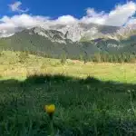 Masi tradizionali in pietra circondati da prati verdi sotto le cime dolomitiche