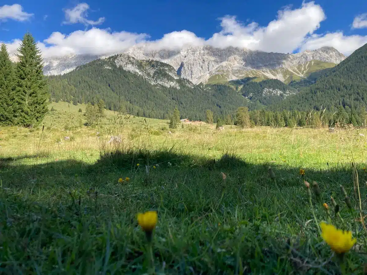 Masi tradizionali in pietra circondati da prati verdi sotto le cime dolomitiche