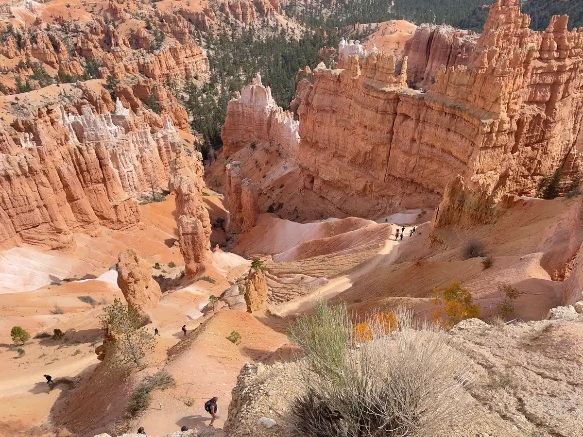 Sentiero montano affollato di turisti con segni di usura del terreno