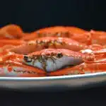 Granchio blu che si muove in acqua fluviale verso colonie di molluschi
