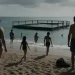 Piscine in spiaggia a Rimini: scontro tra sindaco e ambientalisti sul futuro della costa