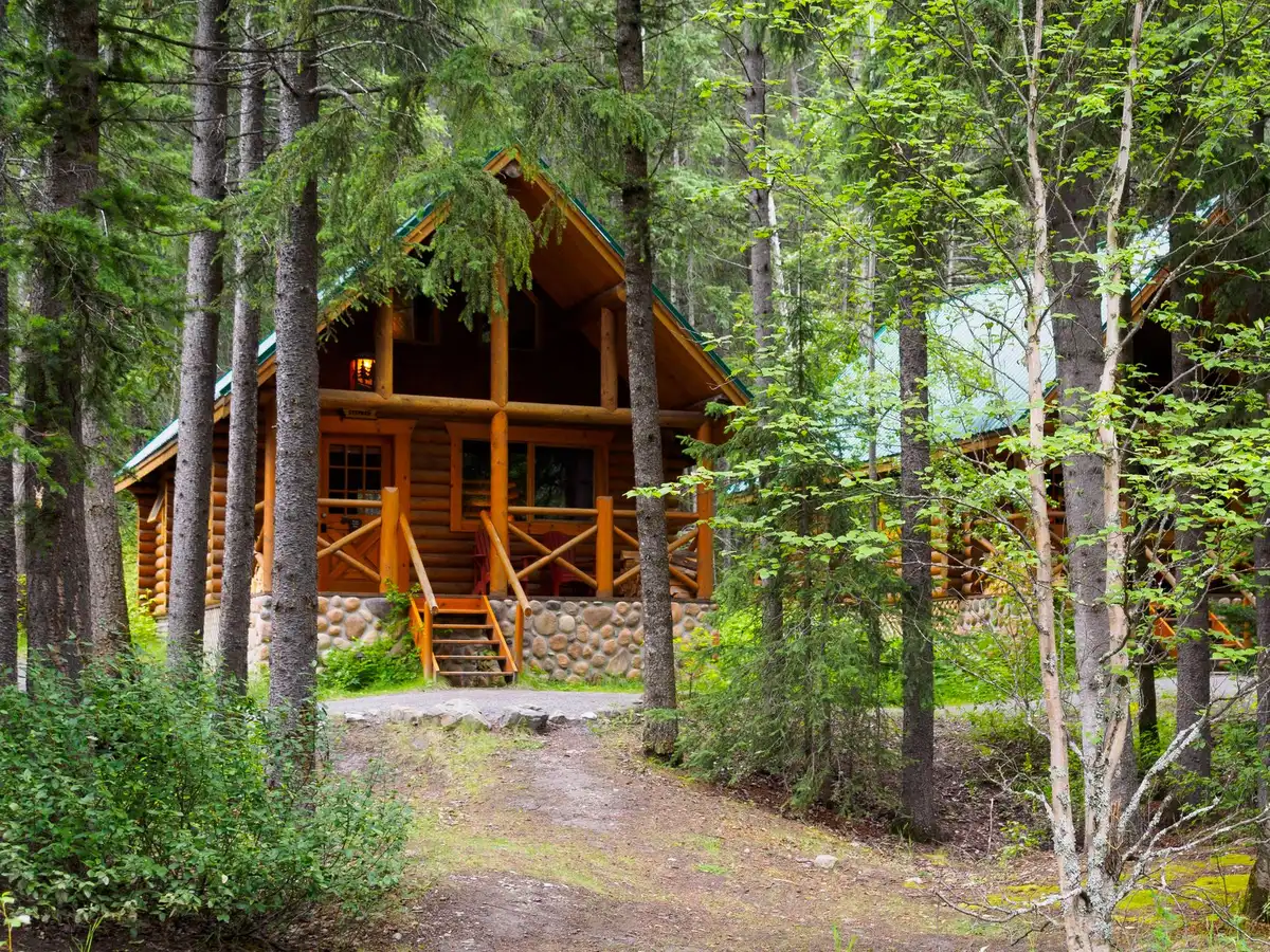 Interno di un lodge ristrutturato con arredi artigianali e materiali naturali tra gli alberi