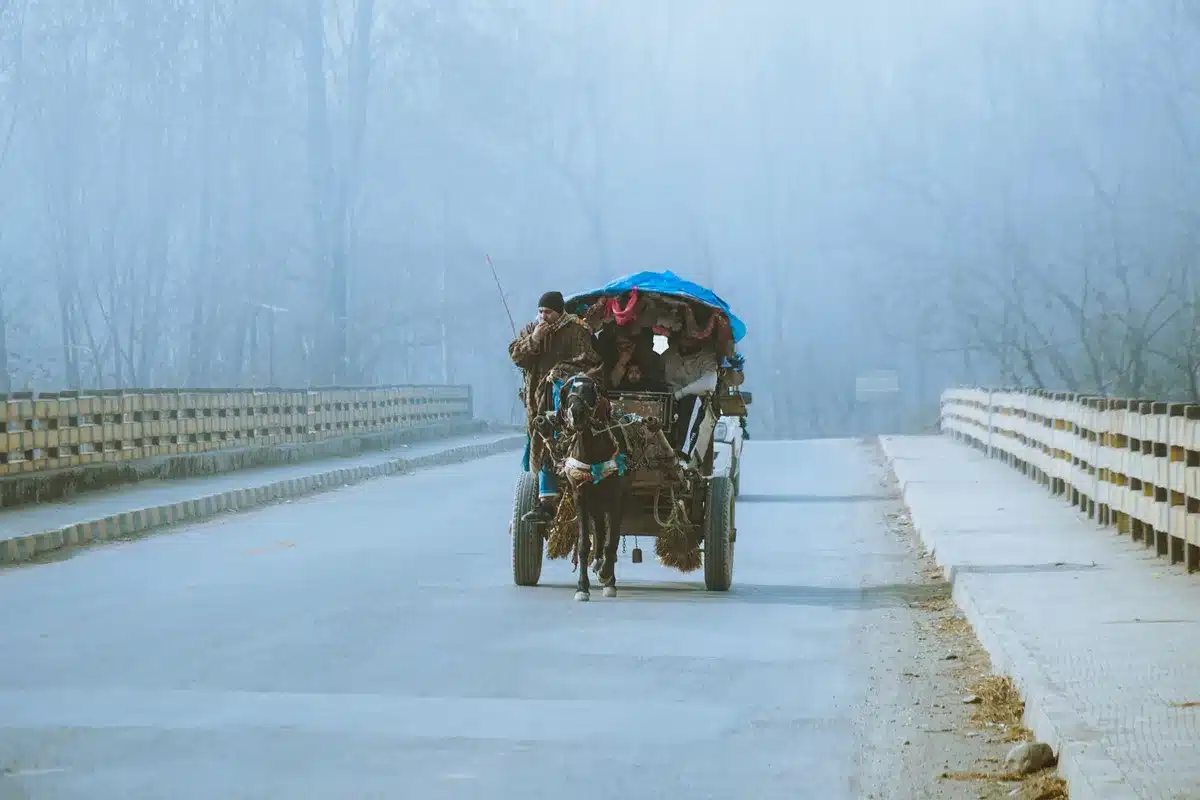 Carrozza trainata da cavalli su strada rurale attraverso paesaggio di campagna e borghi