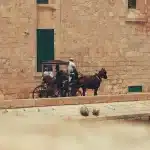 Carrozze trainate da cavalli su una strada rurale con paesaggio di campagna sullo sfondo