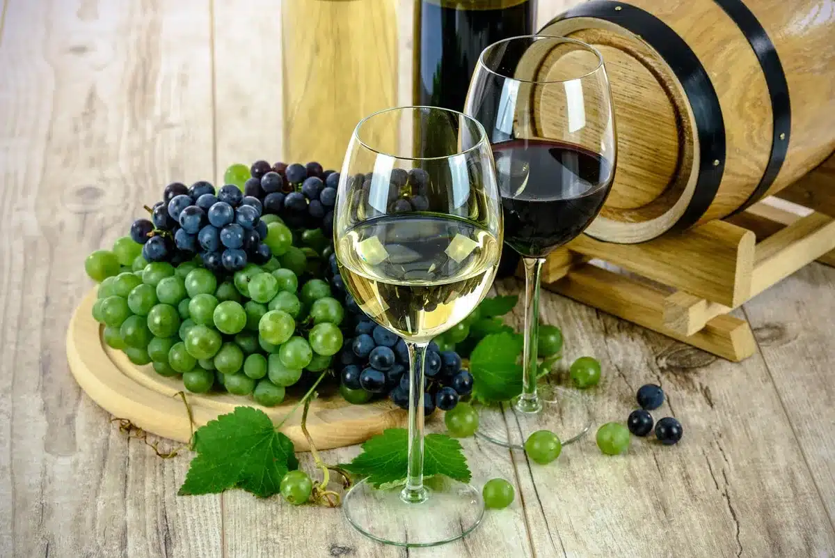 Raccolta di uve bianche nei vigneti dell'Alto Adige con vista sulle colline alpine
