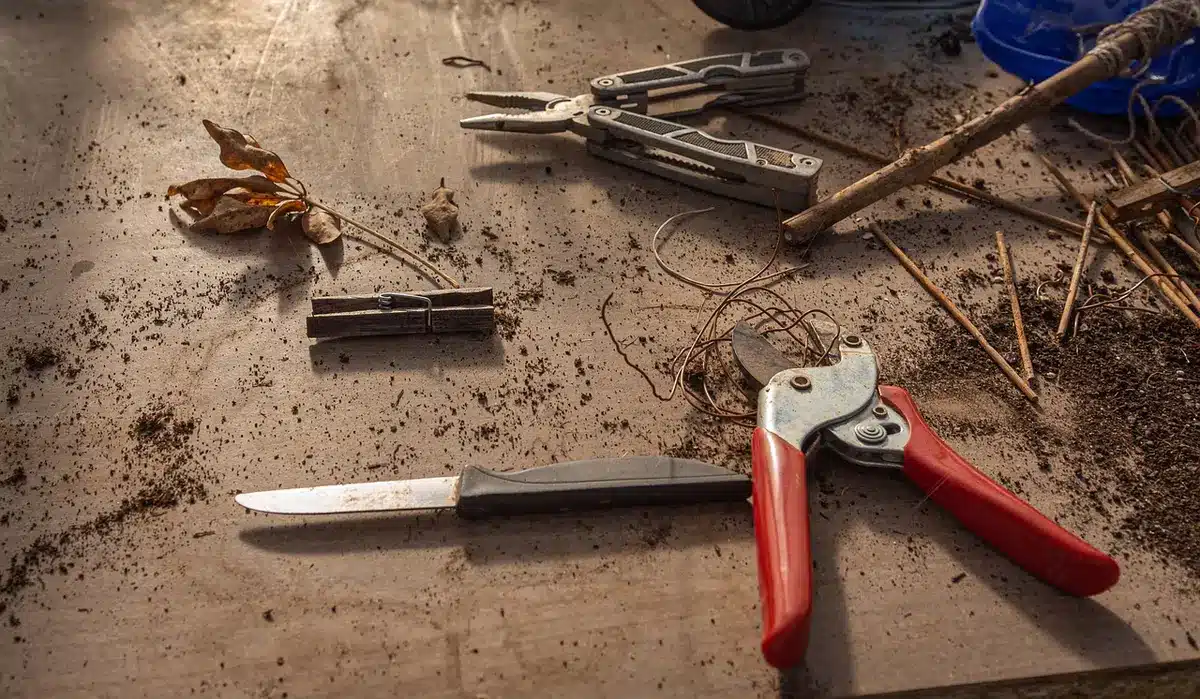 Mani anonime e materiali di laboratorio su un tavolo in una sala civica per un workshop scientifico