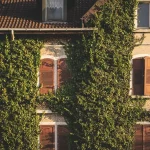 Casa isolata con giardino incolto e finestra oscurata, silhouette distanti