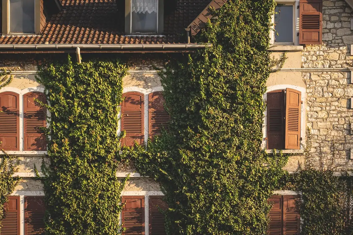 Casa isolata con giardino incolto e finestra oscurata, silhouette distanti
