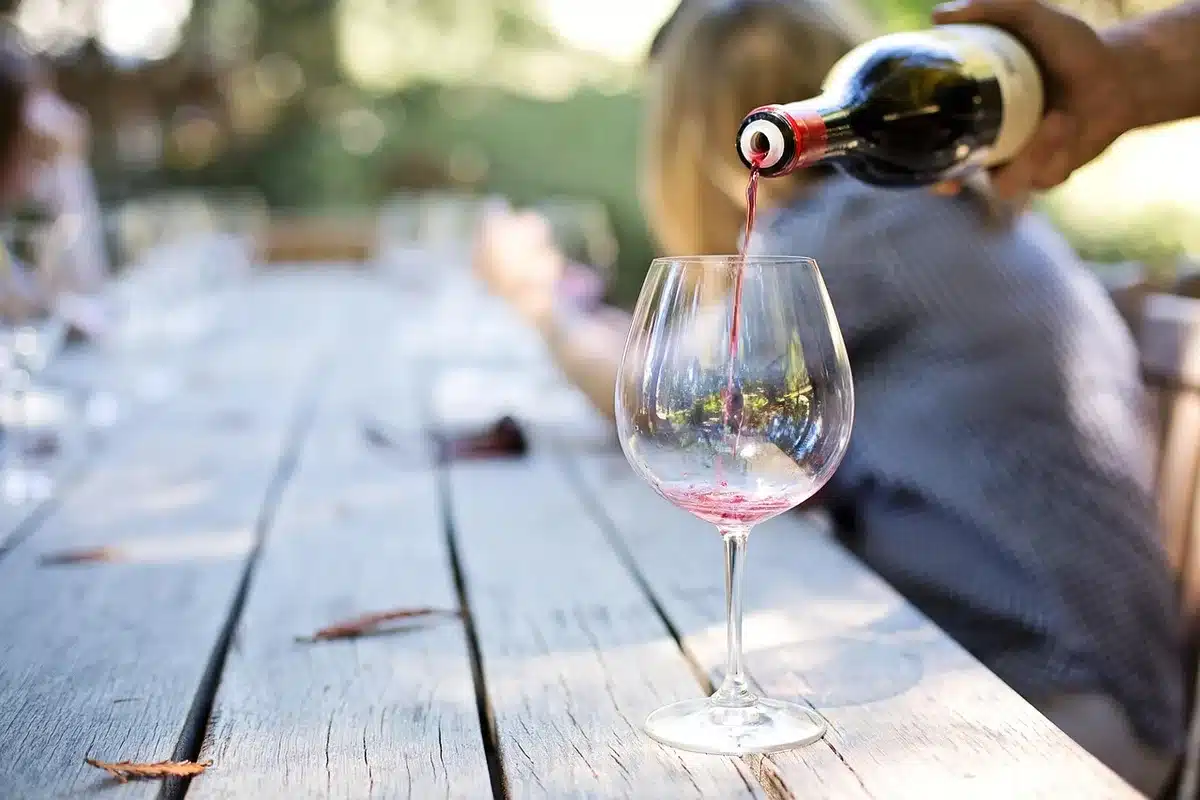 Degustazione guidata di vini in cortile con sommelier e partecipanti attenti