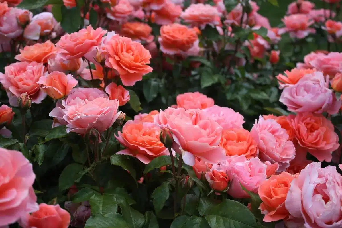 Visitatori tra bancarelle di fiori e piante in un giardino storico