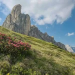 Silhouette di escursionisti su una cresta alpina tra abeti e prati, con un guinzaglio abbandonato sul sentiero