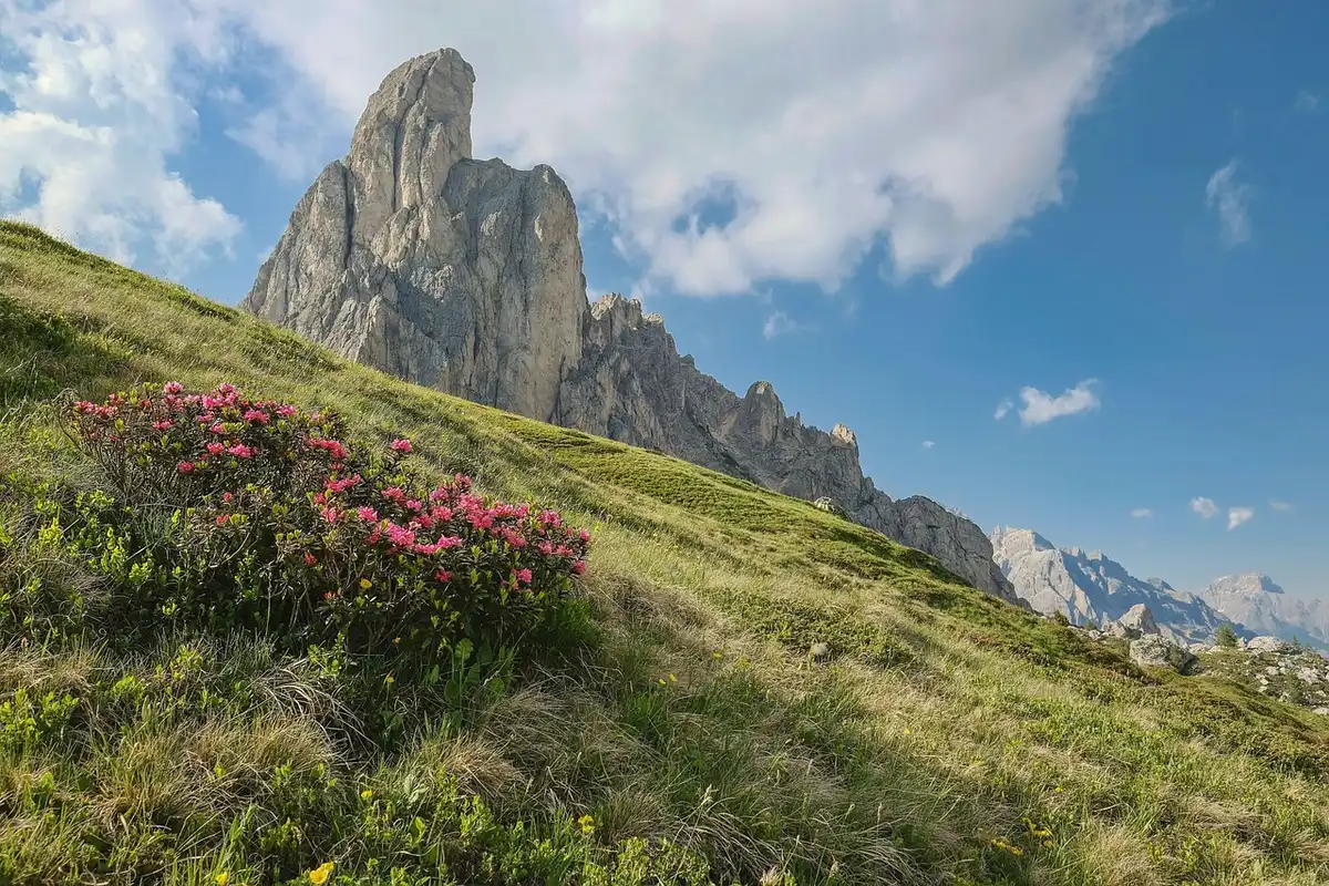 Silhouette di escursionisti su una cresta alpina tra abeti e prati, con un guinzaglio abbandonato sul sentiero
