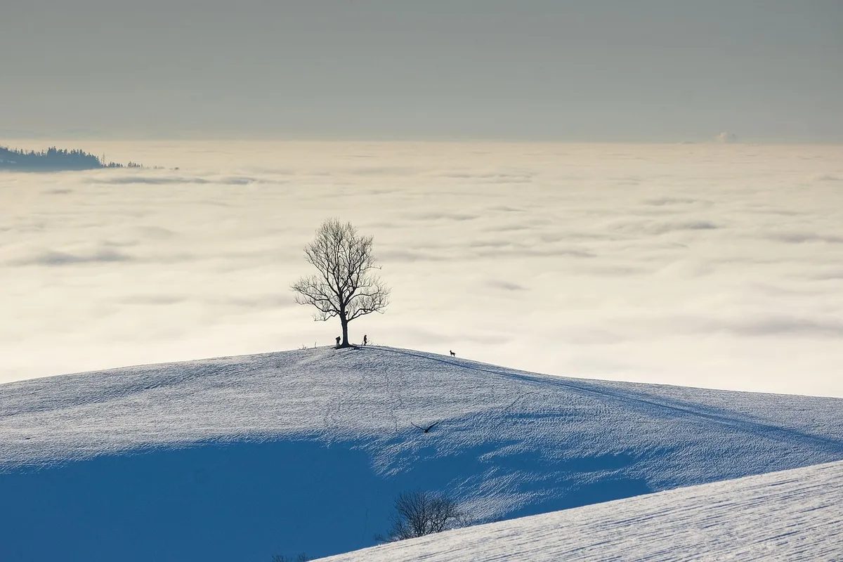 Silhouette con parka e stivali sulla neve davanti a un paesaggio montano soleggiato