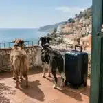 Affitti negati a chi ha cani: single con due animali finisce nel furgone