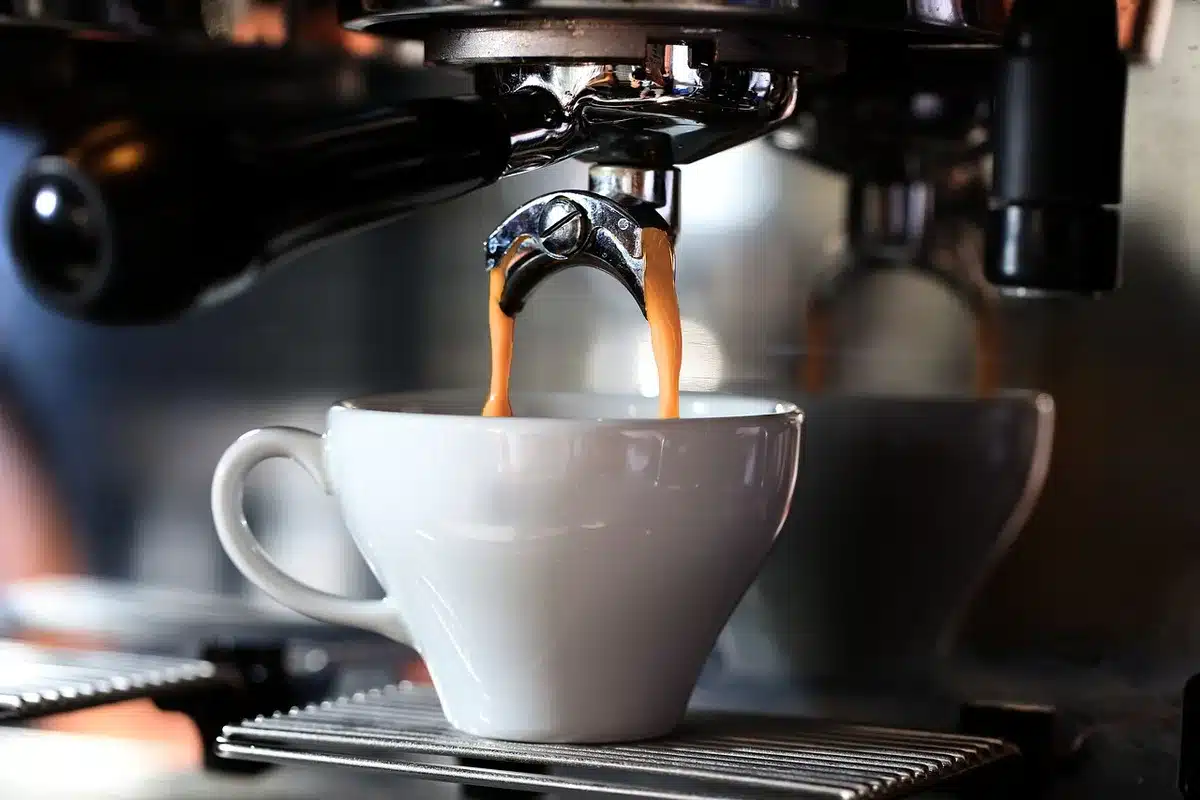 Fila di tazzine usate per la valutazione del caffè