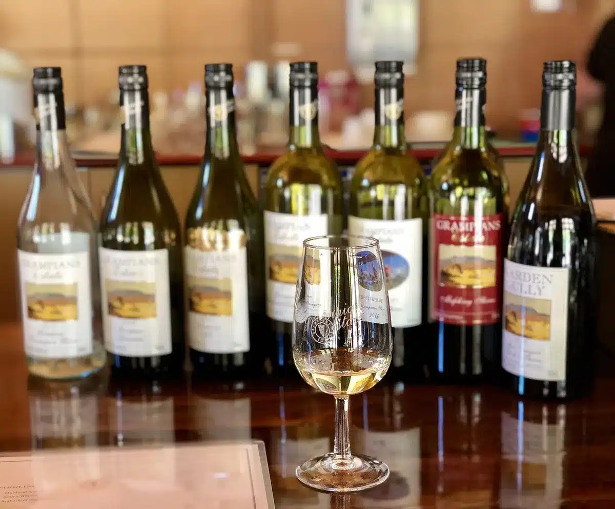 Sala di degustazione con tavoli, bicchieri e partecipanti in movimento