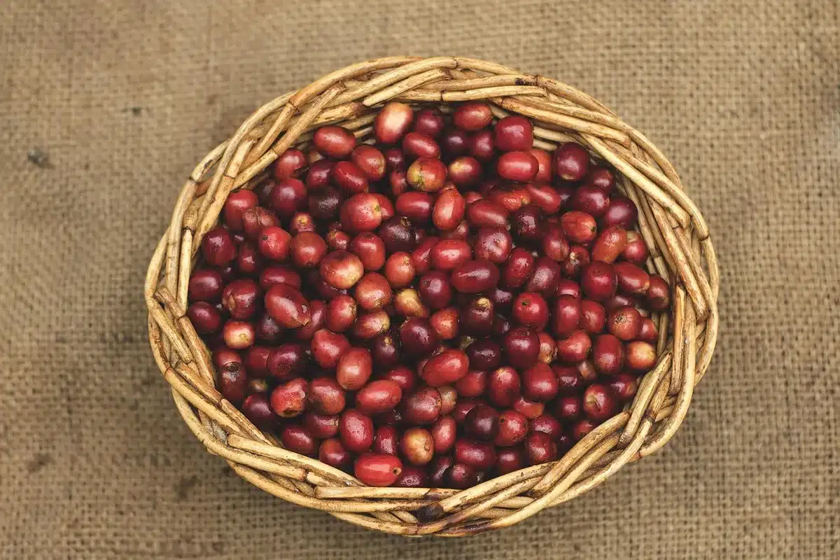 Cesta da mano in rafia con finiture curate