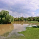 Vista di un fiume in piena con vegetazione e una barriera di accesso chiusa al parco