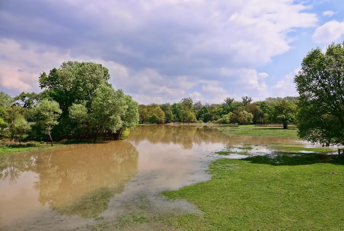 Vista di un fiume in piena con vegetazione e una barriera di accesso chiusa al parco