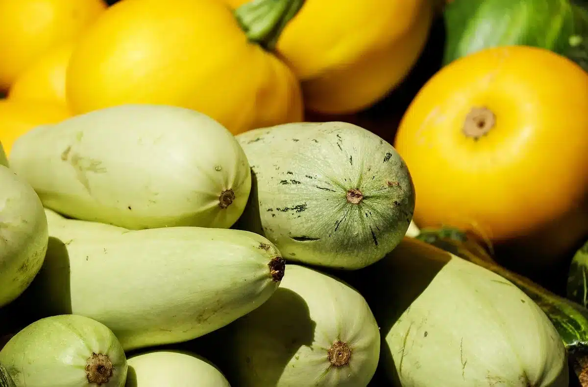 Cesto di verdure autunnali con zucca, broccoli, carciofi e melagrana