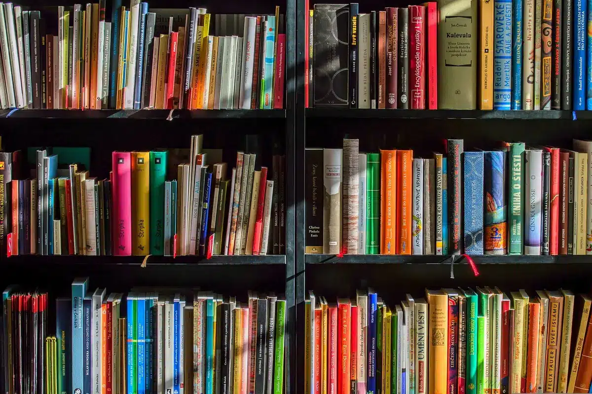 Edizione cartacea del romanzo accanto a appunti e occhiali