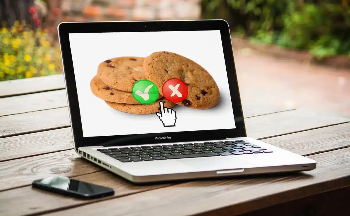 Impostazioni privacy del browser e estensioni per blocco annunci