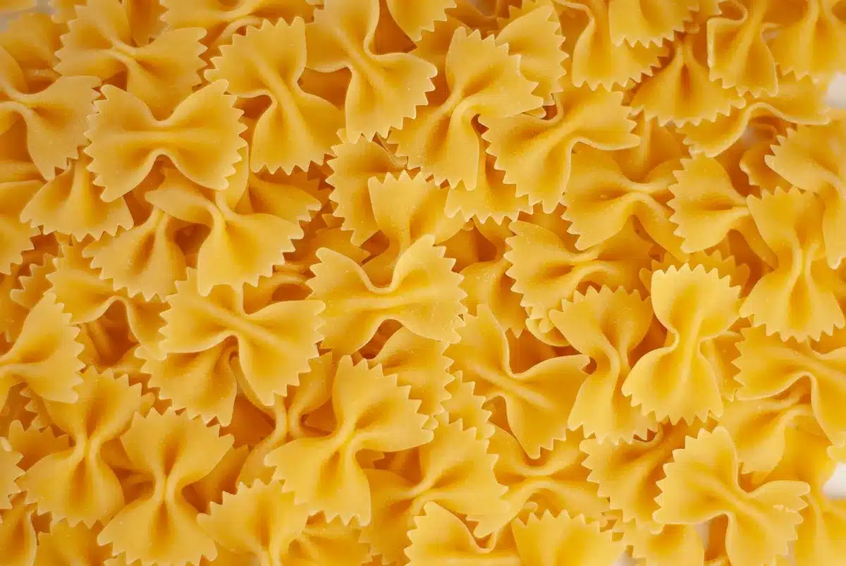 Mano che osserva un piccolo insetto vicino a un righello per misurare la dimensione