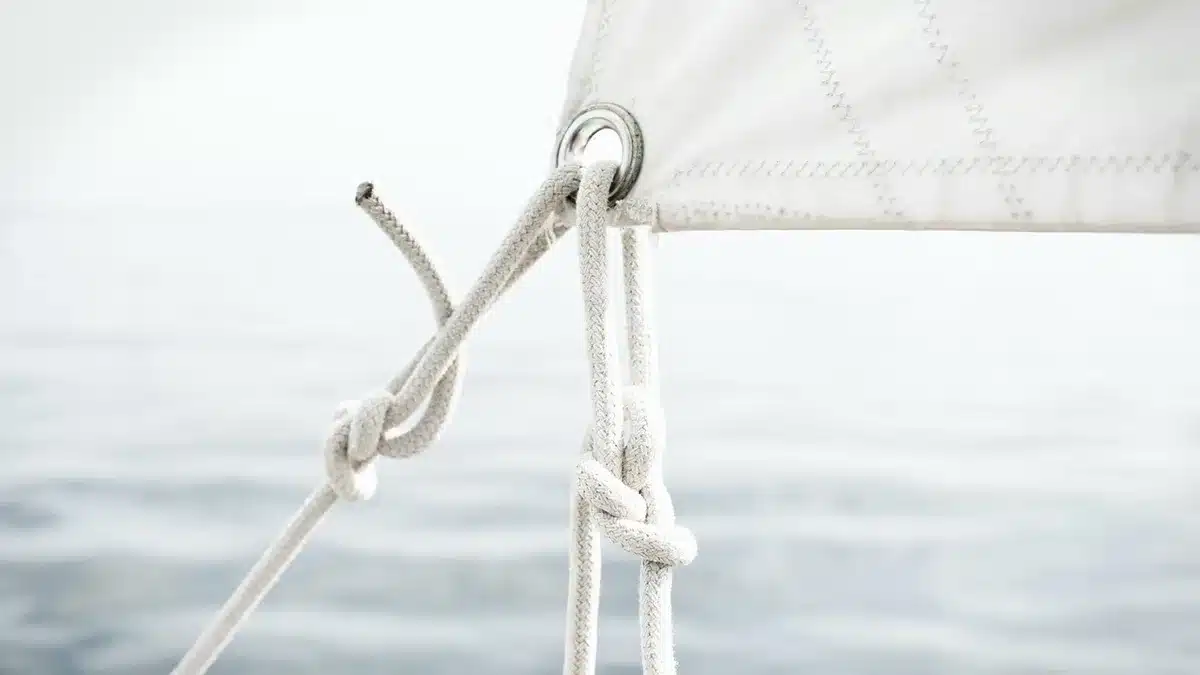 Imbarcazione intercettata in mare con attivisti sul ponte
